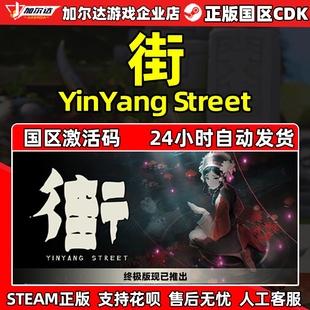 YinYang 街 Street 国区激活码 现货秒发 steam CDKey PC正版