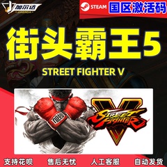 PC中文Steam 街霸5 街头霸王5 Street Fighter V 国区CDK激活码