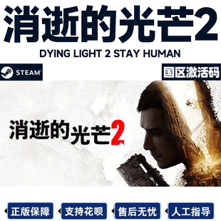 Steam 消逝的光芒2重装上阵版 消光2 消失的光芒 激活码CDKEY