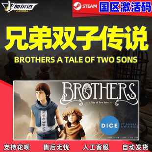 PC中文Steam 兄弟双子传说 Brothers A Tale of Two Sons 国区CDK