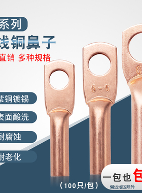 铜鼻子DT-2.5 4 6平方孔径4 6 8DTG接线端子铜管线耳电缆接头紫铜