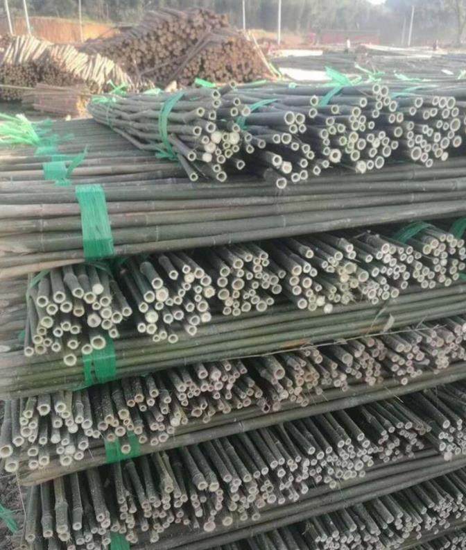 竹竿鱼竿攀爬老式支撑杆瓜果农家乐葡萄园杆架农场竹条隔断青竹旗|ruв категории доставка цветов/цветок моделирования/растения садоводства, садовых принадлежностей, большой забор/забор - от Buy2taobao.com для оказания профессиональной услуги покупки агента Taobao