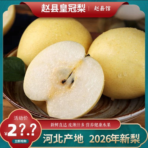赵县皇冠梨26年新鲜水果河北脆甜