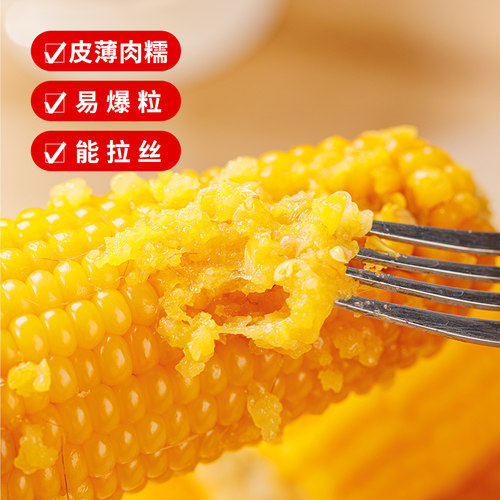 东北黄糯玉米新鲜软糯黄粘苞玉米现摘真空装早餐代餐饱腹玉米棒