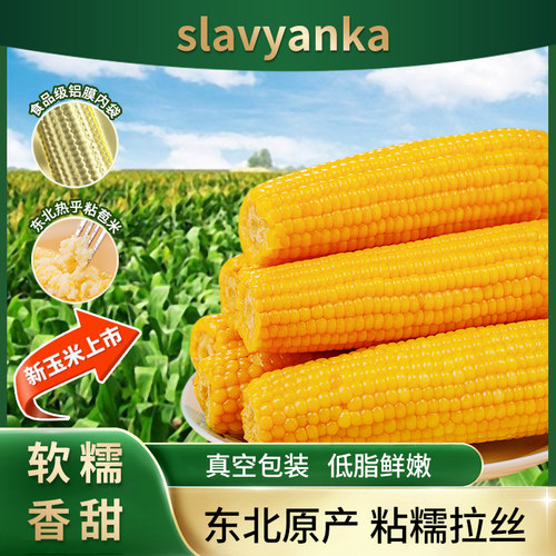 真空装黑龙江玉米早餐即食