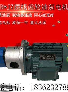 新款BB-B40JZ/B50JZ BB-B63/B100/B125JZ立卧摆线齿轮油泵电现货