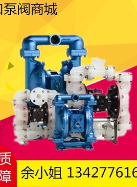 新款美国胜佰德隔膜泵S1FB1A1WANS000气动金属隔膜泵铝合金外现货