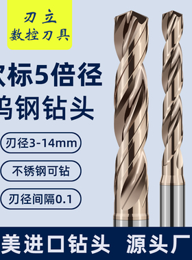 加长钨钢钻头定柄欧标D4D6D8D10D12D14cnc超硬转头硬质合金麻花