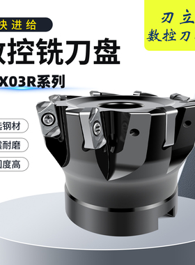 双面开粗面铣刀盘EXN03R快进给铣刀盘装LNMU0303铣刀片