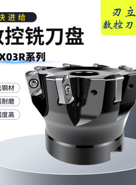 双面开粗面铣刀盘EXN03R快进给铣刀盘装LNMU0303铣刀片