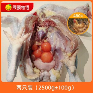 辰颐物语480天竹林散养下蛋鸡土鸡跑山鸡新鲜现宰老母鸡品牌直发