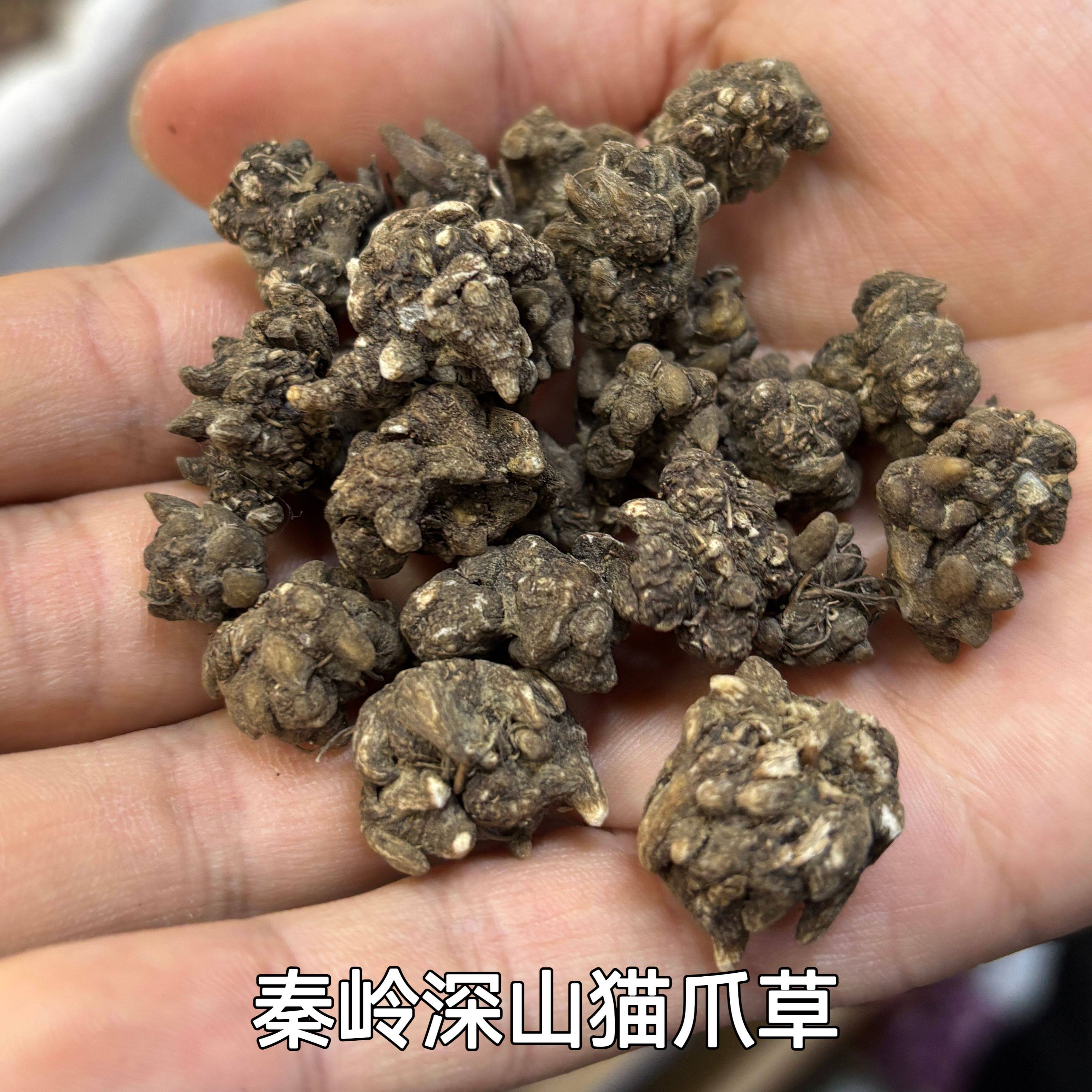 秦岭 猫爪草 精选 250g