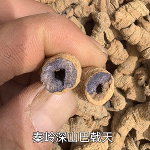 秦岭深山中药材巴戟天500g新鲜巴戟天粉巴戟天茶泡酒正品巴戟杜仲