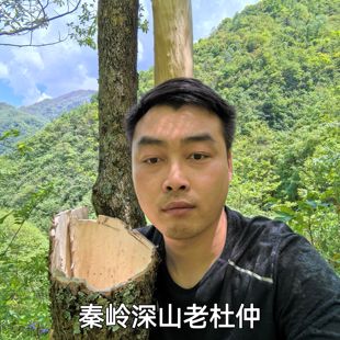 秦岭深山60年老杜仲皮老丝绵树皮片煲汤泡酒杜仲茶无硫500g包邮