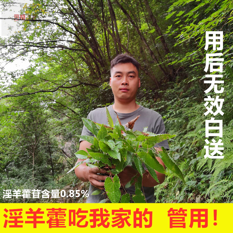 淫羊藿茶叶新鲜整棵仙灵脾秦岭三枝九叶草肉苁蓉500g带根幼苗包邮