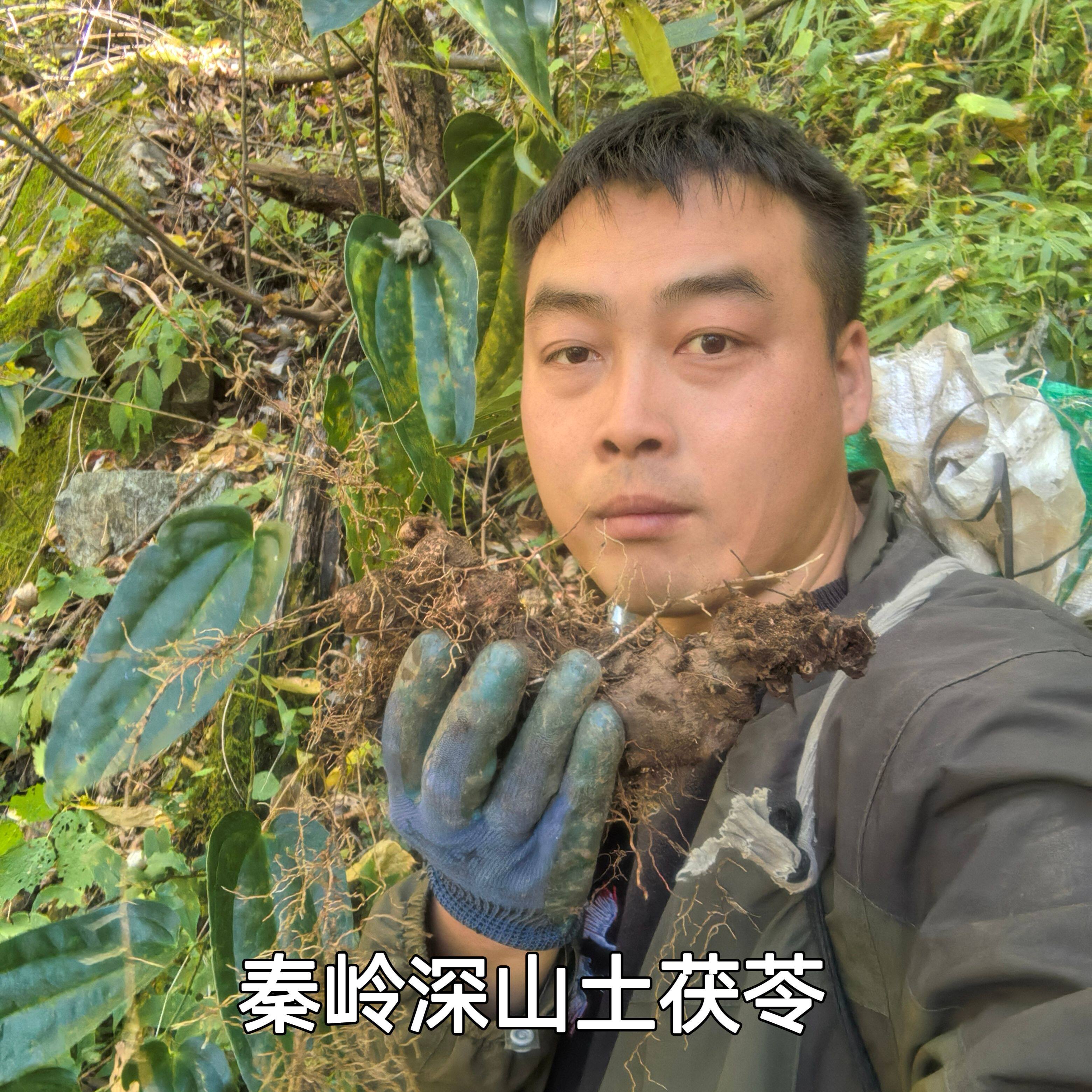 秦岭深山土茯苓切块切片新鲜非白茯苓晒干无硫500g包邮另有苗卖