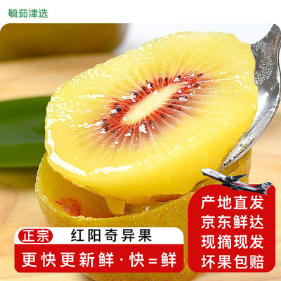 东阳红阳奇异果徐香猕猴桃包邮