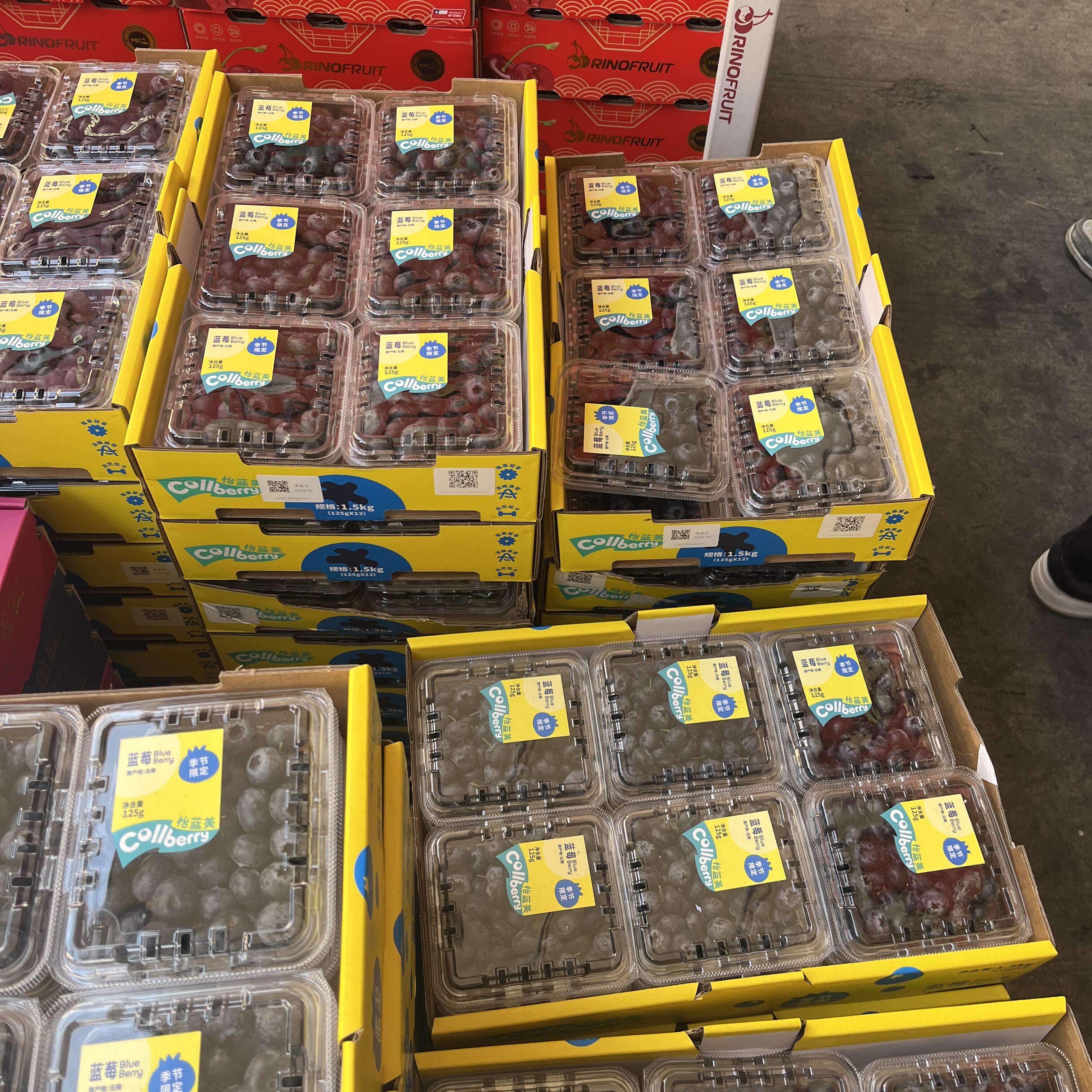 整箱12盒怡颗梅秘鲁蓝莓新鲜水果当季大颗粒孕妇鲜果多品牌发货