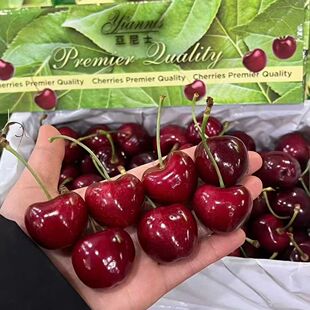 新西兰进口空运车厘子亚尼士车厘子新鲜水果大樱桃孕妇水果