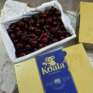 澳洲空运车厘子金考拉科迪亚原盒装新鲜大樱桃孕妇水果4j5j礼盒装
