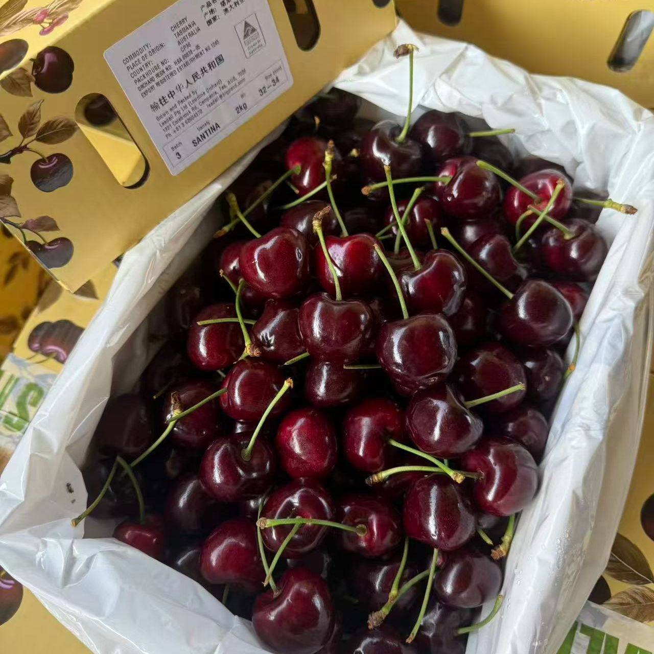 新西兰空运澳洲车厘子大樱桃新鲜水果大果孕妇水果科迪亚5j6J,水产肉类/新鲜蔬果/熟食,车厘子/樱桃,淘宝优惠券,粉丝福利购,淘宝优惠卷