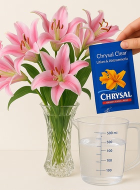 荷兰可利鲜百合专用家用袋装粉剂球根类鲜花保鲜剂营养剂延长花期