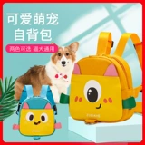 Ранец, рюкзак для выхода на улицу, популярно в интернете