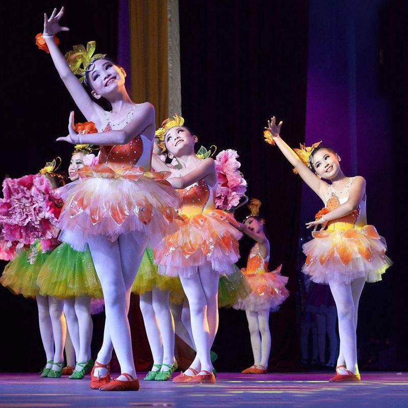 儿童花儿舞蹈演出服六一幼儿公主蓬蓬裙表演服茉莉花荷花民族群舞