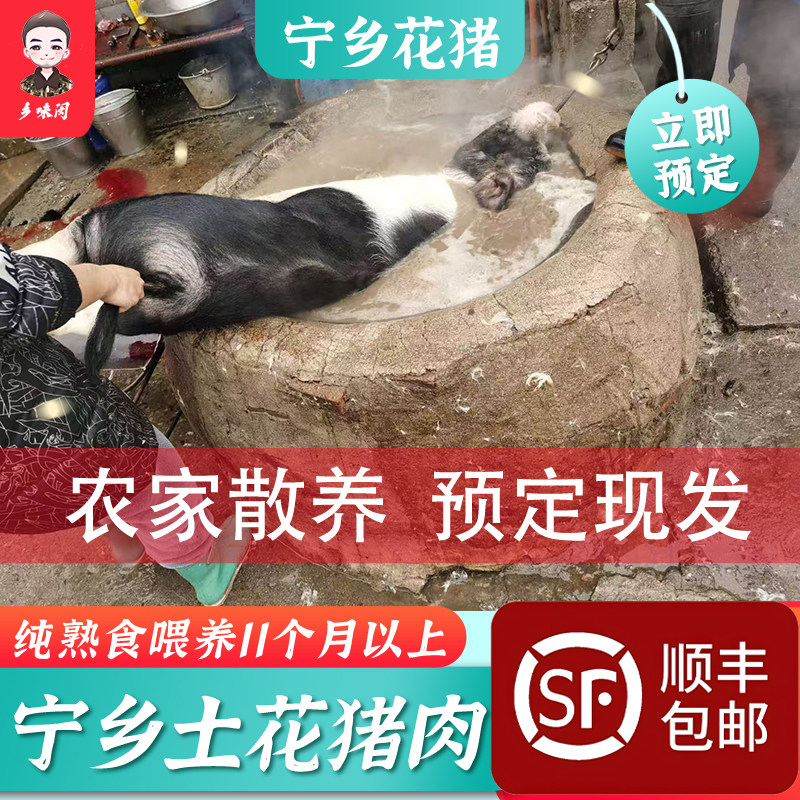 宁乡花猪前腿肉五花肉猪排骨筒子骨梅花肉猪脚农家散养顺丰包邮