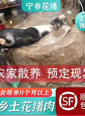 土猪肉宁乡花猪农家散养猪前腿