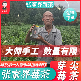 张家界莓茶新鲜采摘农家土茶包高山毛尖白茶黑茶春茶好茶新货绿色