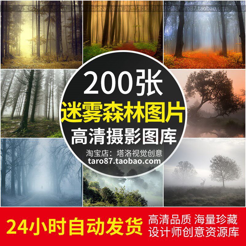 高清jpg素材迷雾森林图片浓薄雾气缭绕山林树木阴森朦胧风光摄影