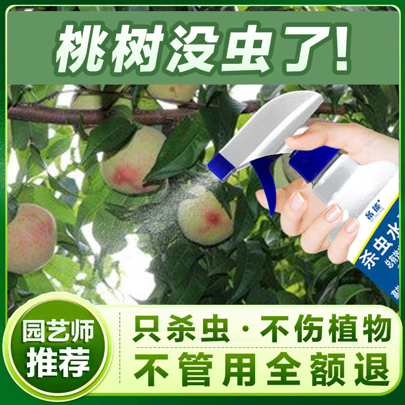 桃树灭虫蚧壳虫用药打虫药花卉杀虫剂土壤盆栽小黑虫有飞虫介壳