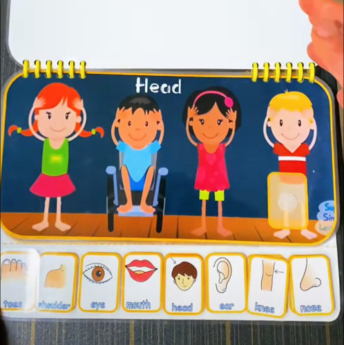 head shoulders knees and toes身体部位安静书sss英文启蒙儿歌