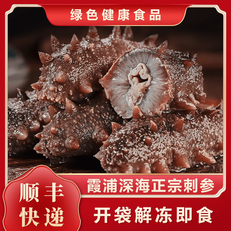 霞浦鲜食即食海参辽刺参新鲜去盐非水发送礼营养品鲜活刺参