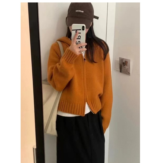 韩系慵懒风连帽针织开衫女秋新款宽松高级感双拉链加厚毛衣外套