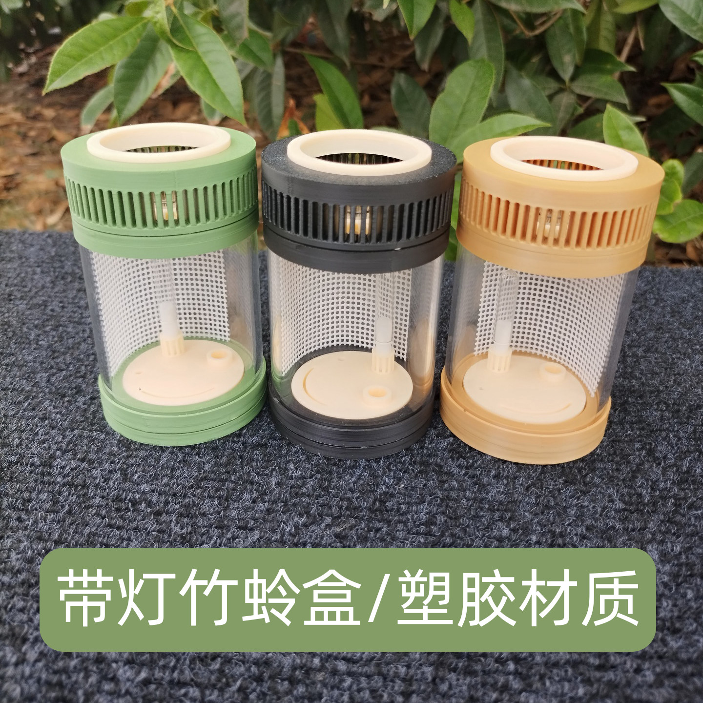 竹蛉筒有机盒塑料亚克力罐黄蛉筒