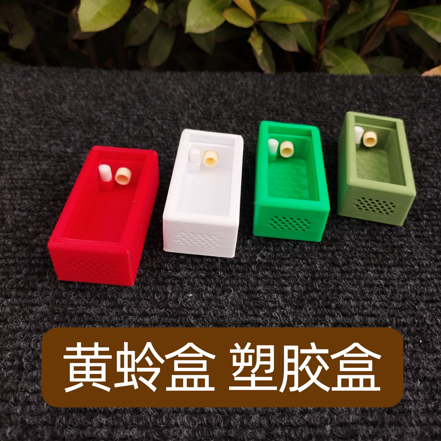 大黄蛉盒塑料鸣虫饲养盒小黄蛉虫具盒蛉子蛉虫盒加湿器保湿
