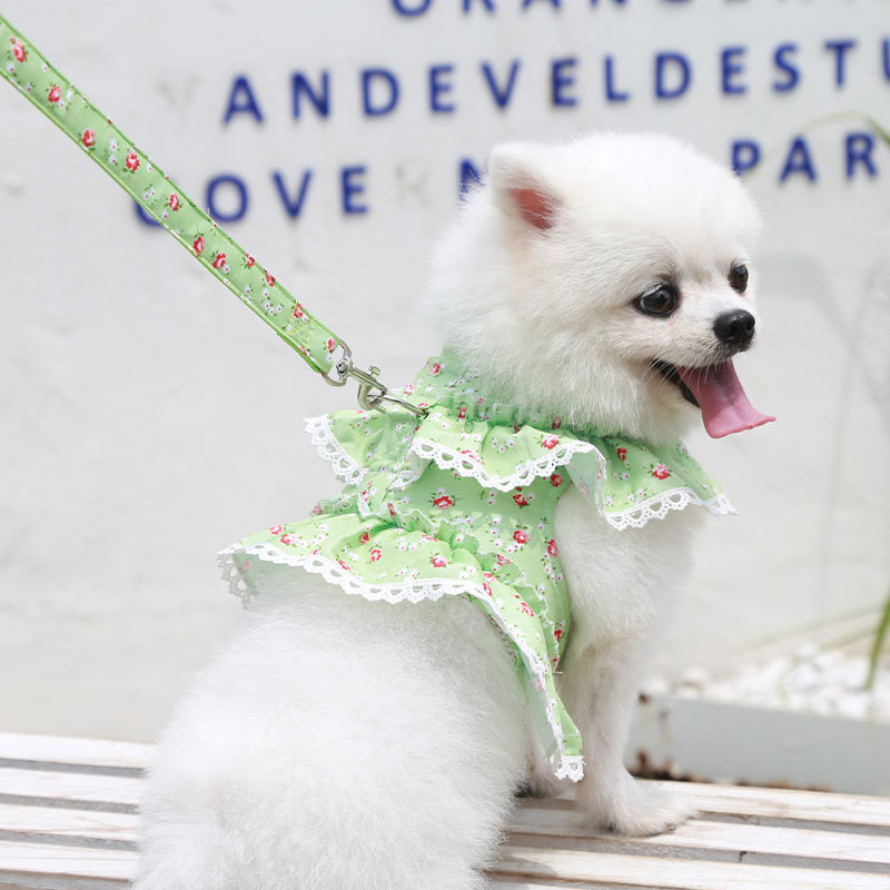 狗狗猫咪宠物衣服胸背带