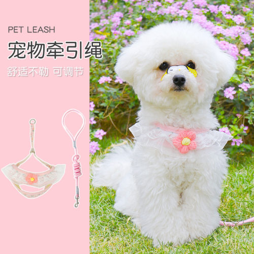 狗狗牵引绳遛狗链子小型