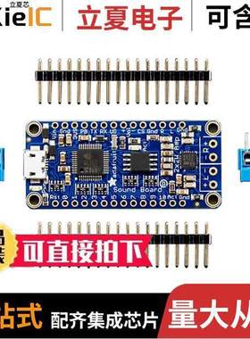 2217开发板 〔FX SOUND BOARD 2X2W WAV/OGG 16MB 〕