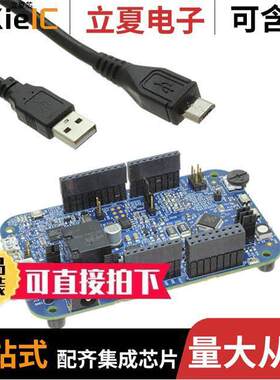 DEVKIT-S12VRP开发板 〔S12VRP EVAL BRD 〕