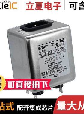 6ESK7滤波器 〔LINE FILTER 250VAC 6A CHASS MNT 〕