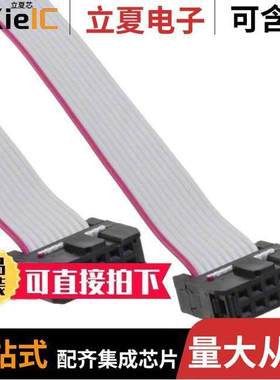 CAB-ISP10W200开发板 〔CABLE RIBBON 10WAY IDC PRGRM 〕