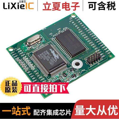 20-101-0383芯片 〔IC MOD RABBIT 2000 18.432MHZ 〕
