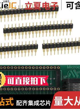 AC162051开发板 〔HEADER INTRFC ICD,ICD2 28/40 DIP 〕