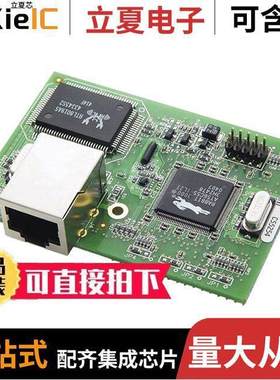 20-101-0507芯片 〔IC MOD RABBIT 3000 30MHZ 512KB 〕