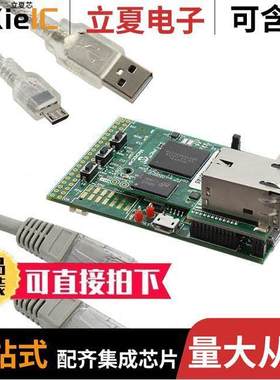 DM320008开发板 〔PIC32MZ GRAPHICS EVAL BRD 〕