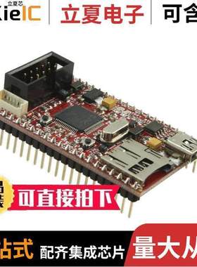 PIC32-PINGUINO-MICRO null Olimex LTD