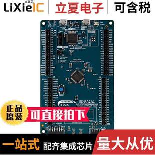 Electronics America Renesas RTK7EKA2A1S00001BU